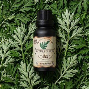 Artemisia Afra Oil-20ml