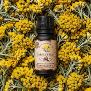 Helichrysum Oil-10ml (African Immortelle)